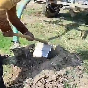 When technology stacks with you in the advanced time with the old time, this is how the results are | Indian Agriculture