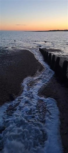 #vhs #fyp #FilmTok #films #movies