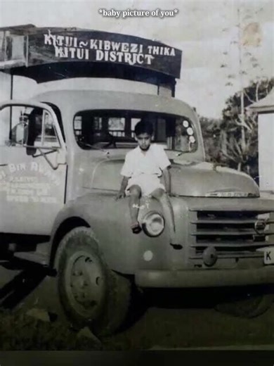 A Hilarious Take on Evolution