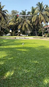 7.2K views · 97 reactions | Pack your bags and get ready for paradise...