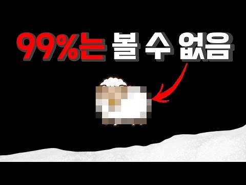 이번 영상에서 양이 보이지 않으면 여러분의 뇌는 이미 속은 겁니다.