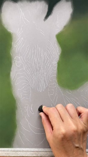 So excited to share this tutorial with you - I wanted to tackle a photo which enabled me to teach shadow and light falling across a face. This very cute zebra foal was an absolute winner when it came down to choosing a subject! Going live today on my Patreon channel! | Emily-Mei Cross Art