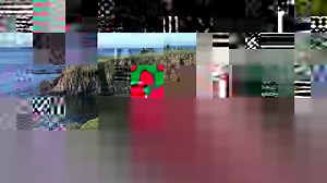 144K views · 71 shares |  Ted Potter Jr. held off Dustin Johnson, Phil Mickelson, Jason Day and more to get his first TOUR win since 2012.  Check out Sunday's highlights from Pebble Beach.  | PGA TOUR | Facebook