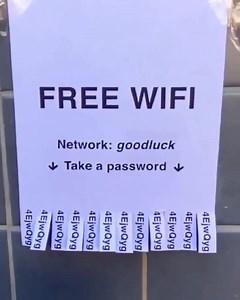 51K views · 382 reactions | FREE FREE FREE ^_^ | Programmer jokes | Facebook