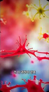 How lab-grown brains build their own networks: Scientists are stunned