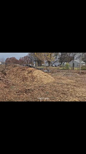 Graham Family Farm NW: Uribe's Tree Service Wood Chips November 17 2025 * #grahamfamilyfarm​ #easternwashington​ #washingtonstate #farmtok #uribestreeservice | Graham Family Farm NW