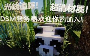 【MC/60帧/光线追踪】你见过这种画质的服务器吗？DSM服务器极限画质实录