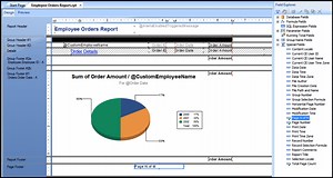 Insert Special Fields in Crystal Reports- Tutorial