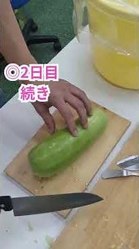 【自家製】白瓜の奈良漬づくり｜第二弾：白瓜の塩漬け編｜美味しくなるための大切な下準備