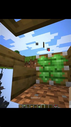 Minecraft No Mod XRay Moment 💀