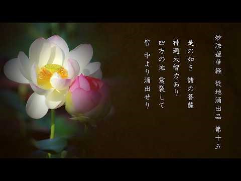 法華経 訓読 朗読 妙法蓮華経 従地涌出品 第十五 015 2026 04 15