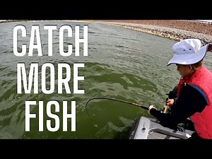 Catching 100+ Hybrid Bass and White Bass Fall Fishing | Sonar Tips