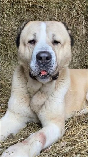 12 марта 2026 г.