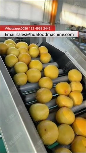 High-Speed Citrus Fruit Grading Machine | Efficient & Accurate