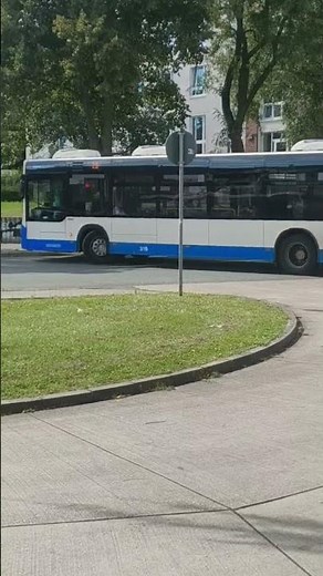 die Linie 28 von Rostock Holbeinplatz nach Zoo mit dem MAN lions city solo