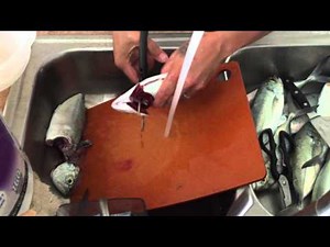 How to prep blue runner and or red snapper fish to pan fry in Florida