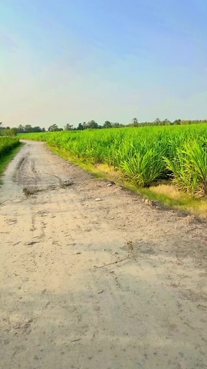 Exploring Sindhi Poetry and Culture