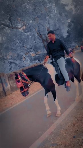 Nitin yadav on Instagram: "#followforfollowback #trendingvideosoninstagram #trendingvideosoninstagram #viralvideos #trendingreelsvideo #viralvideos #jamuidistrict"