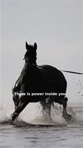 Run Free 🐎🔥 | Unleash Your True Power