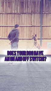 In the 5-day “OTT No More” live series, available to watch until next week, I demonstrated essential skills for dogs that tend to become over-aroused. One of the key techniques covered is the “on and off” cue—a must-have skill for helping your dog transition between states of excitement and calm. Does your dog have a reliable on and off switch? To learn exactly how to teach this cue and many other invaluable techniques, join “OTT No More” today! Don’t miss out on this opportunity to gain tools t