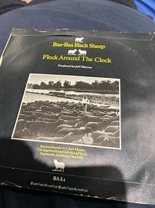 The Singing Sheep - Baa-Baa Black Sheep