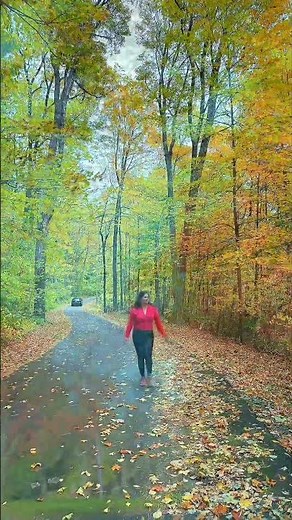 Talcott Mountain State Park is a 574-acre (232 ha) public recreation area located on Simsbury, CT