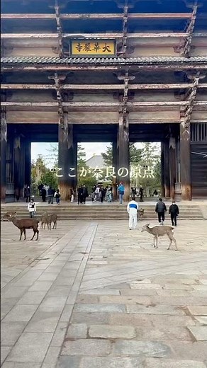 奈良を訪れたら一度は見たい場所。巨大な大仏様と壮大な大仏殿は、写真や動画では伝わらない迫力があります🙏『東大寺』奈良の大仏 #東大寺 #奈良の大仏 #パワースポット #奈良 #japantravel