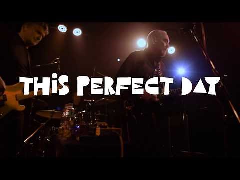 Ed Kuepper & The Aints! This Perfect Day (live).