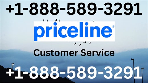 ★Priceline®® customer service PHONE Number® By Phone, Chat And Email A Step-by-step Guide★
