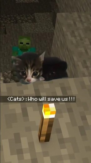 Adorable Minecraft Kittens need your help 😿 | Cutest Minecraft Pets Ever!