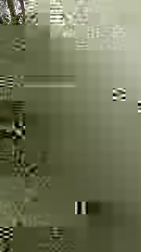 3 Open Guard Solo Drills“MOVE BETTER” 1. Staggered Seated Guard Sit Up: It’s important to be able to seamlessly transition between open and seated guard depending on the space your opponent is giving you. Stay controlled throughout this movement. 2. De La Riva Sit Up: As we sit up from DLR, It’s important to keep connection with our extended leg in our opponent’s far side leg. *Reference the previous video to see how this applies in a technique. 3. 90/90 Sit Up: This movement can be used to trap