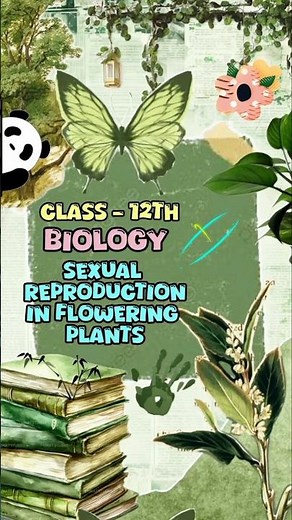 Sexual Reproduction in Flowering plants 🌱 #biology #chapter1 #handwritten #notes 📝 #class12th