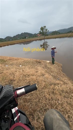 Câu chuyện về cá lóc và cá tre#lurefishing #lure #maycaulure #lurecaloc