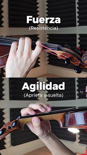 ¿Cuáles de estos ejercicios te faltan hoy en tu rutina? ¿Fuerza o agilidad? 🤔🎻 Muchos violinistas confunden estos dos conceptos, pero para dominar el diapasón, necesitas un equilibrio perfecto entre ambas. 💪 Fuerza (Para articulación clara y resistencia) 🔷Resistencia: Usar ligas te obliga a vencer una fuerza opuesta, fortaleciendo la musculatura de los dedos. 🔷Martillar: Un ataque firme y preciso para que cada nota suene definida. 🔷Paper clips: Limita el uso de las falanges y enfoca todo e