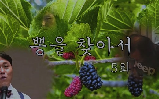 【Documentary】【中字】寻找 "Ppong"（第5话）— 250