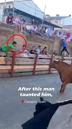 This story shows why bull runs are dangerous for bulls and humans. Text BULLS to 73822 to speak up for bulls! Terms for automated texts/calls from PETA: http://peta.vg/txt. Text STOP to end, HELP for more info. Msg/data rates may apply. U.S. only. | PETA (People for the Ethical Treatment of Animals)