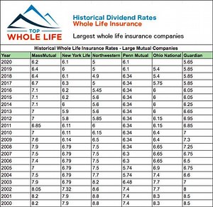 Whole Life Companies & How to Choose Them