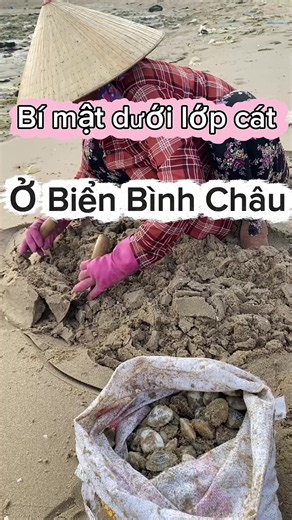 Cách bắt chang chang ở biển Bình Châu: bí mật dưới lớp cát