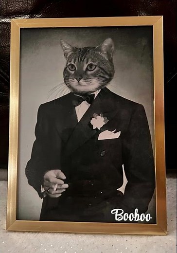 ##Booboo love songs from Halid Beslic ❤️#Halid is legend ##🎤🎼##❤️💙