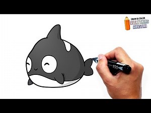 HOW TO DRAW: A CUTE ORCA