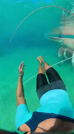 Waterslide into pool full of giant fish #funny #memes
