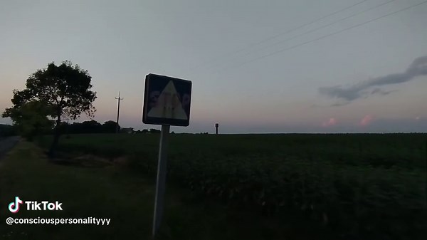 Understanding Conscious Personality Development