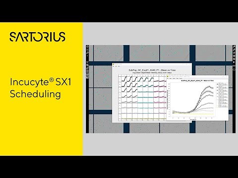 Incucyte® SX1 Tutorial video: How to Setup a Scan