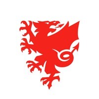 Football Association of Wales | LinkedIn