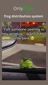 hello there #frogs #FrogLife #frog #frogmeme #OnlyFroggos #Onlyfrogs | OnlyFrogs