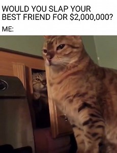 ✋✋ Naughty Humor | Naughty Humor