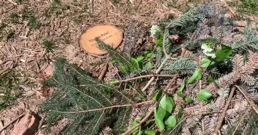 Reflection Park, Maryland's newest green burial cemetery, is also home to the state's first Little Wind Phone