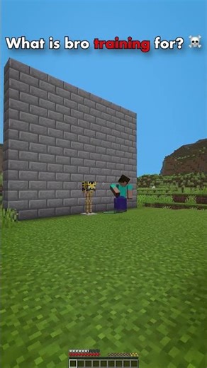 What is bro training for?