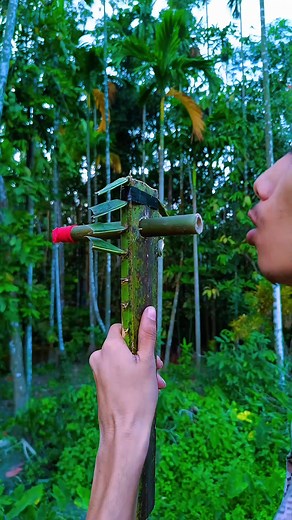 4.6K views | Bamboo Shooter Experiment  #experiment #bambooproject | Slingshot World | Facebook