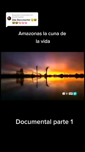 Amazonas: La Cuna de la Vida - Documental en Español Parte 1
